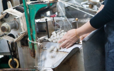 PFGHL Group Launches Organic Silk CompanyCommitted To High Quality Products, Sustainability and Social Responsibility